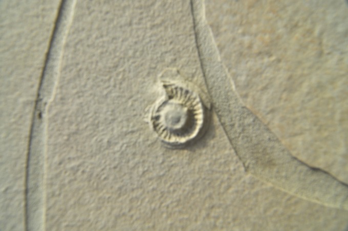 DSC 0397